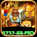 3737 BR Pro