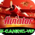 6f - Gaming VIP